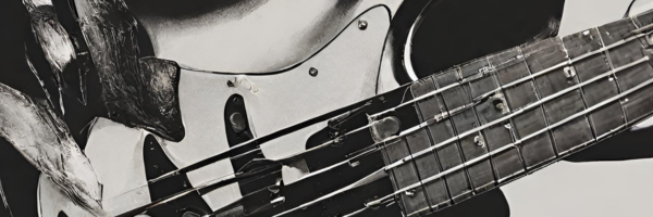 DiMaToLu - Session Bass Player
